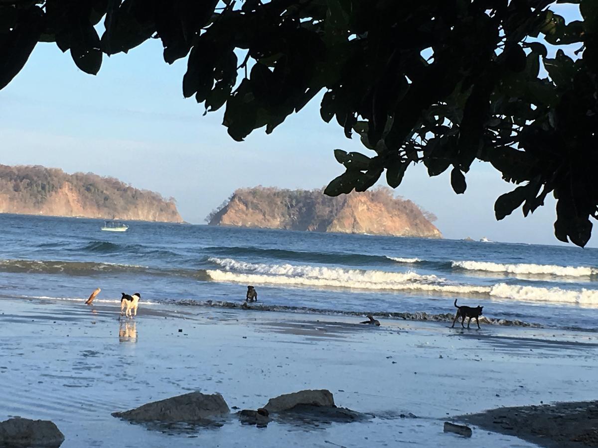 Las Perlitas Rentals Playa Samara Exterior photo